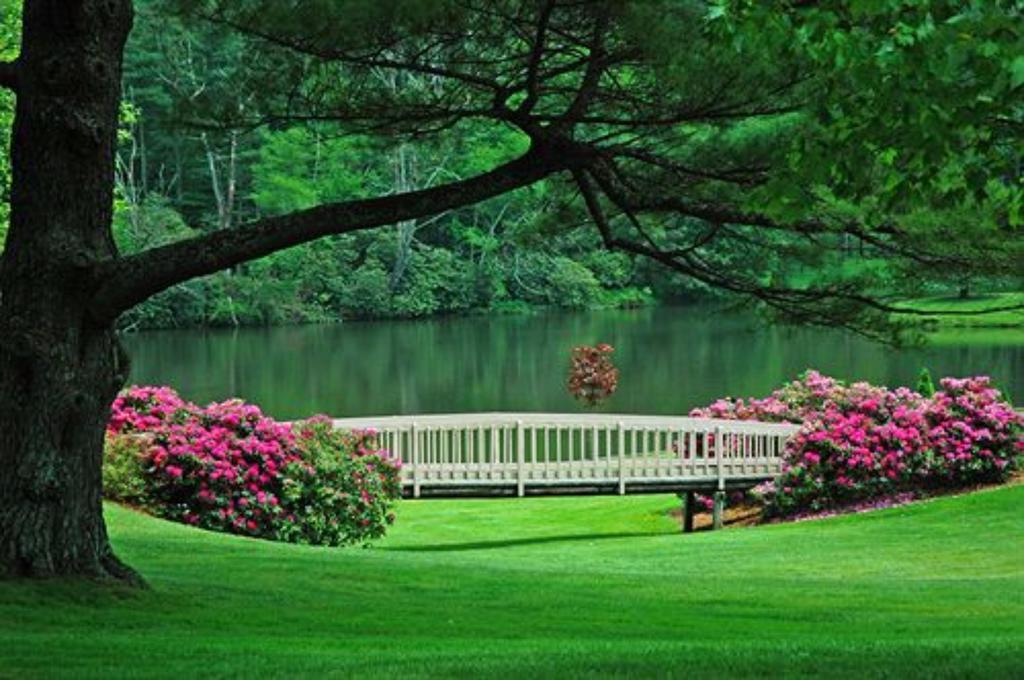 Chetola Resort At Blowing Rock Exterior photo